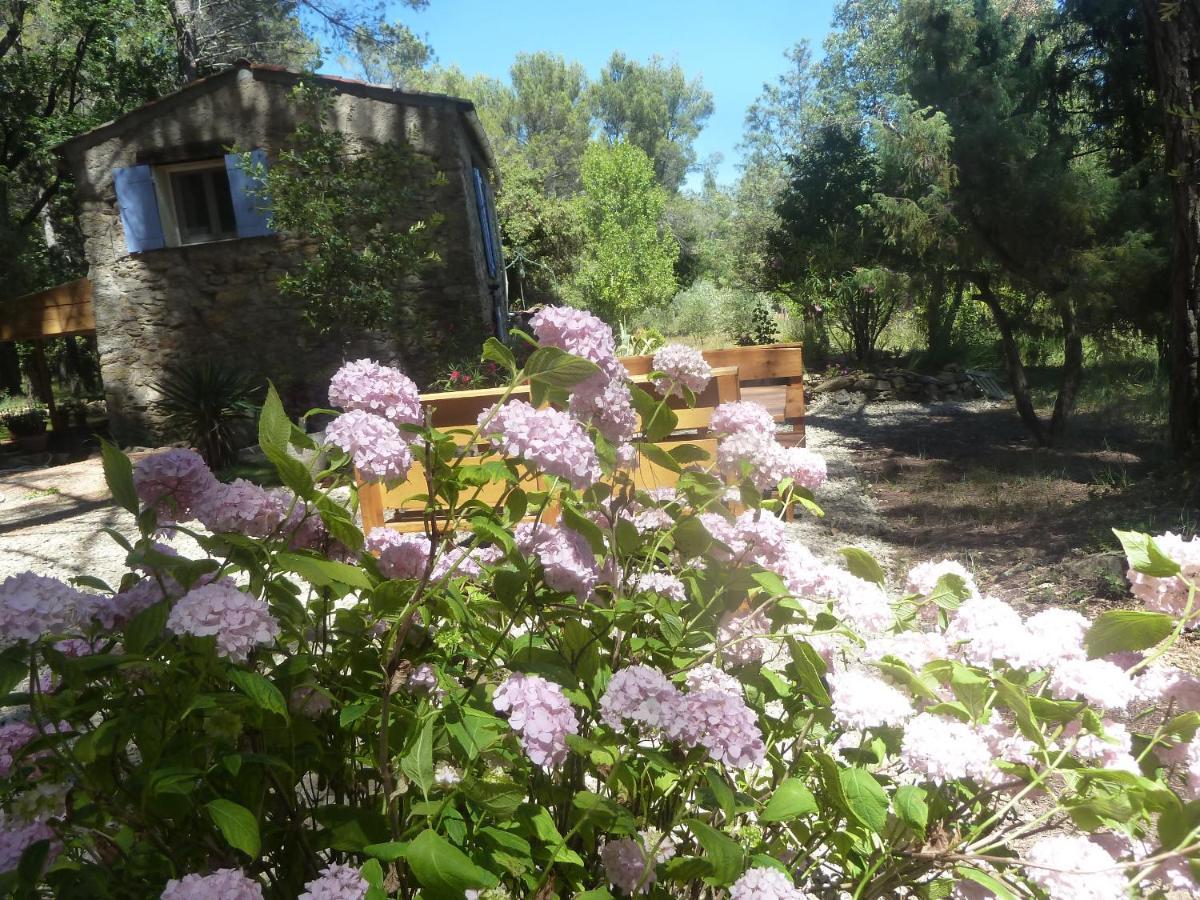 Villa Les Oliviers Draguignan Exterior photo
